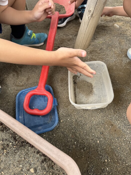 園庭で昆虫を捕まえて遊ぶこどもたち♪
