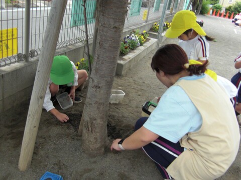 虫見つけてるんだ・・・