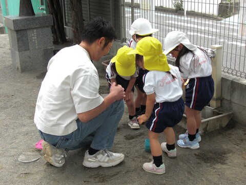うわぁ、大きなアリだね！