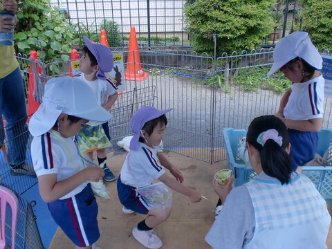 食べてくれるかな