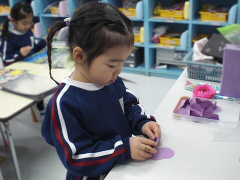 花びら大小７０枚のバラの花です。